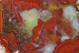 Red, Indonesian Plume Agate Slab - North Sumatra, Indonesia #185365-1